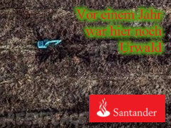 Santander und Urwald-Zerstrung