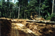 Raubbau im Amazonas-Regenwald