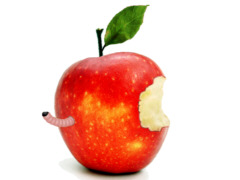 Apfel mit Made - Grafik: Samy - Creative-Commons-Lizenz Nicht-Kommerziell 3.0