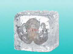 Daten-Krake ELENA eingefroren