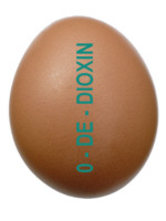 Dioxin-Ei