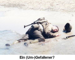 Ein (Um-)Gefallener? - Grafik: Samy