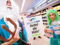 Greenpeace-Aktion gegen Walfang - Foto: Greenpeace