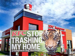 Kentucky Fried Chicken bedroht Sumatra-Tiger, Foto-Collage