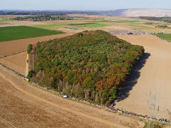 5-Prozent-Restes vom Hambacher Forst - Foto: BUND - Creative-Commons-Lizenz Namensnennung Nicht-Kommerziell 3.0