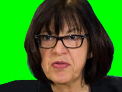 Die pseudo-grüne Rebecca Harms