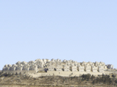 Jüdische Siedlung im Westjordanland - Foto: Ariel Davidsohn