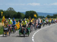 Tour de Fessenheim 2012