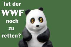 Ist der WWF noch zu  retten?